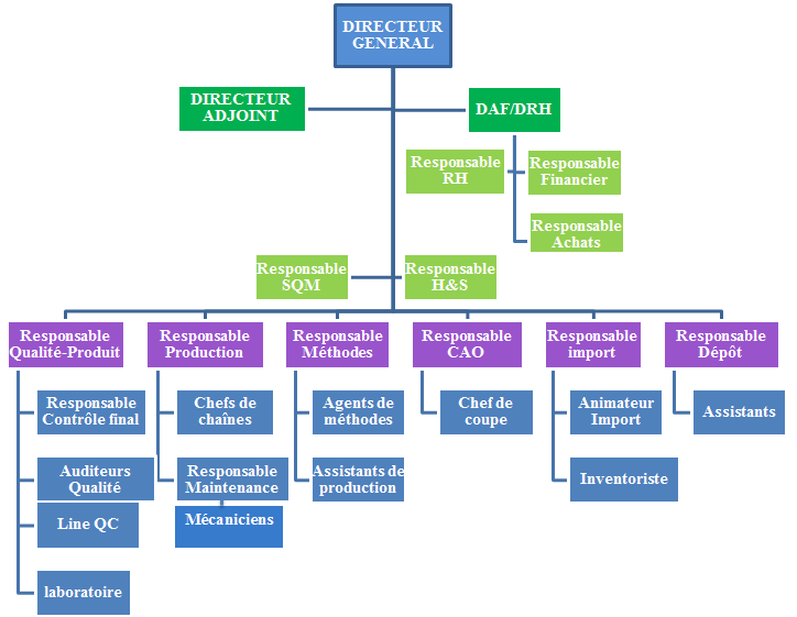 Organigramme EIREMOR